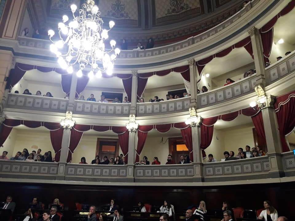 Participación en el Senado Bonaerense